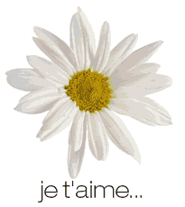 je t'aime