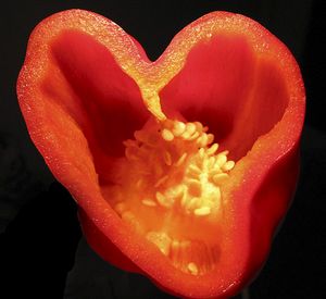coeur poivron